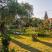 Studios Vasilia, privat innkvartering i sted Thassos, Hellas